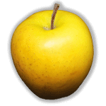 HoneyGold Apple